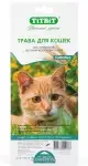 TiTBiT трава для кошек  пшеница