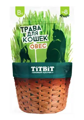 TiTBiT травка для кошек, овес